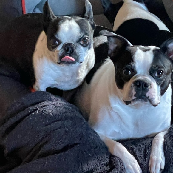 Meet your Posher, Colleen - Picture 1 of 1